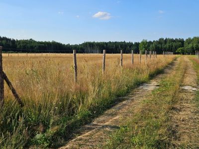 Działki bud. 1200M2, 1076M2; WZ; Bobrowniki