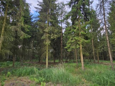 Działka bud. 1202M2; WZ; STUDNIE